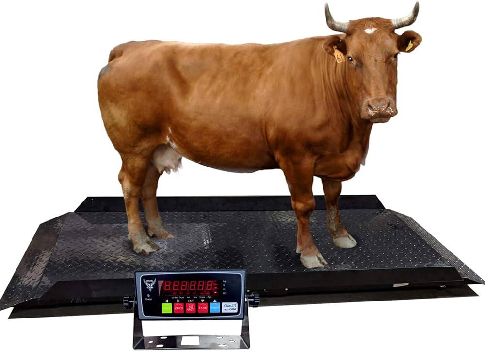 Accurate Weighing – Livestock Digital Scales