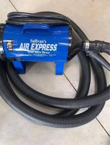 Air Express Mini Blower