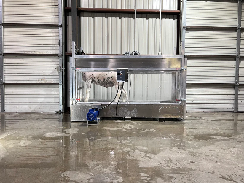 Underwater treadmill for lambs, goats, and hogs!