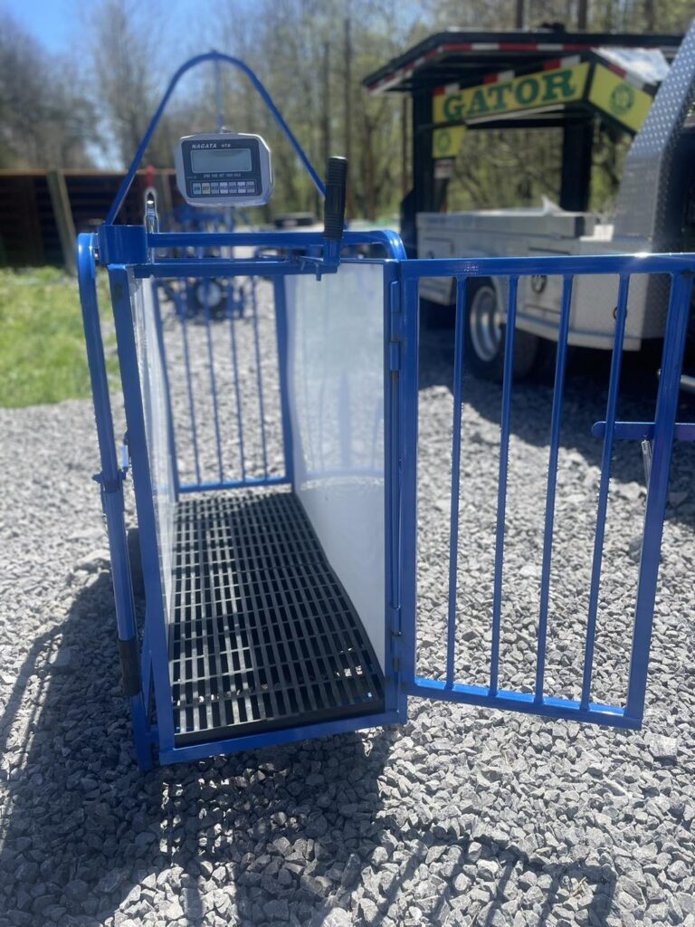 Digital Scale Complete