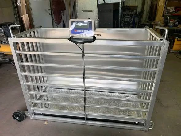 Aluminum/Steel Digital Scale