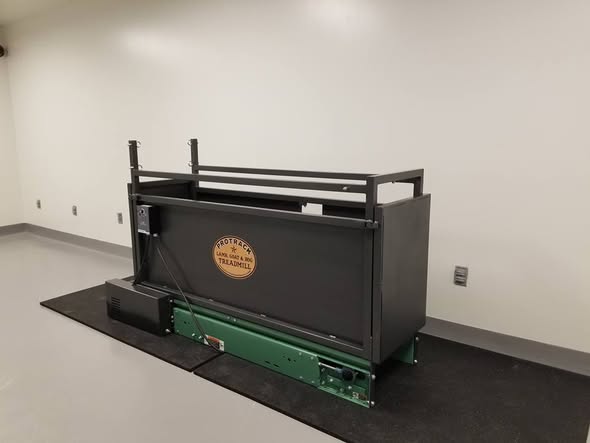Lamb And Goat Treadmill (110 Volt)