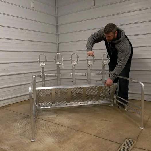 Aluminum 5 Head Show Rail