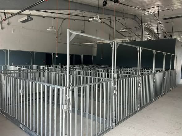 Fully galvanized high quality show pens