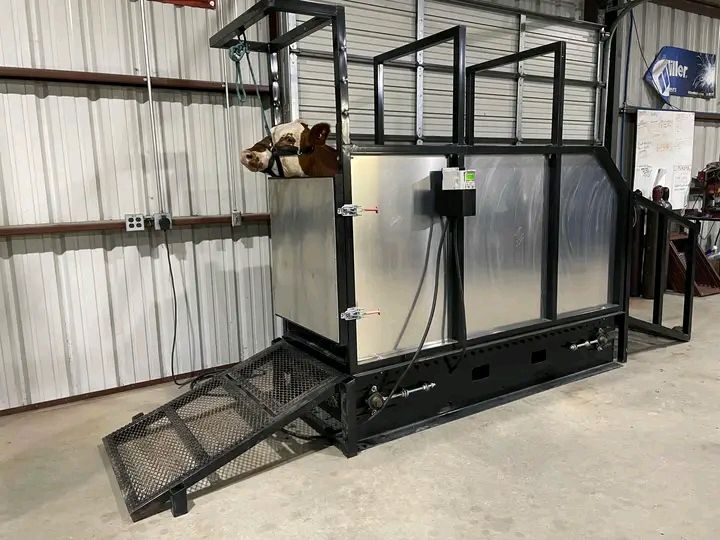 Cattle Treadmill
