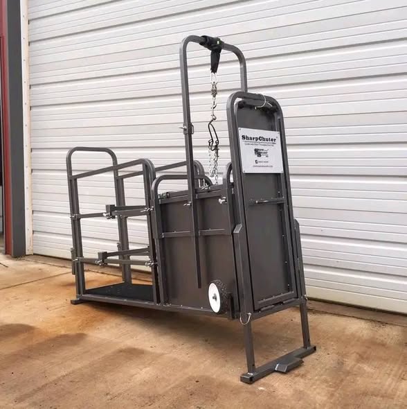 Goat and Lamb Brace Chute