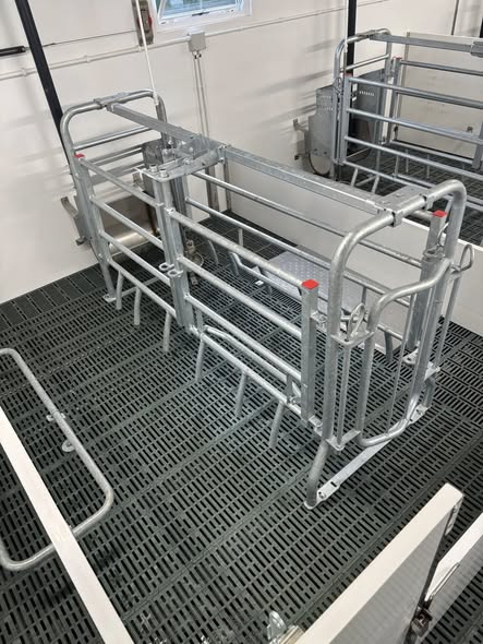 Galvanized Farrowing Crate