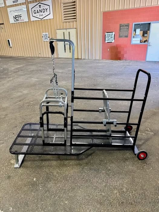 The Show Trainer