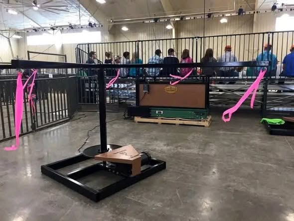 Walker & Treadmill Combo